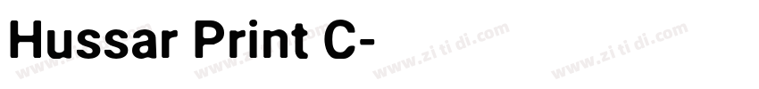 Hussar Print C字体转换